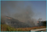 clicca per allargare